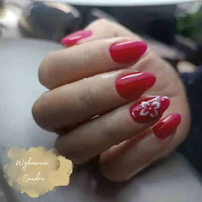 Studio Urody Endorfina